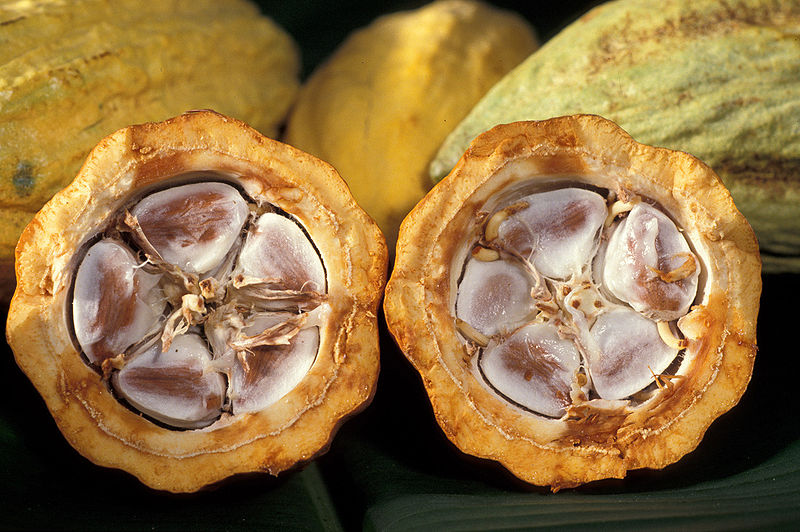 "Cocoa Beans in a Cocoa Pod" by PD-USGOV-USDA-ARS U.S. Department of Agriculture - Agricultural Research Service