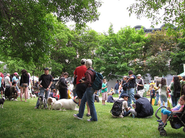 "Woofstock in Toronto" by ltdan (Dan Dickinson)