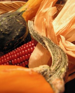 "Thanksgiving basket" image by AMagill