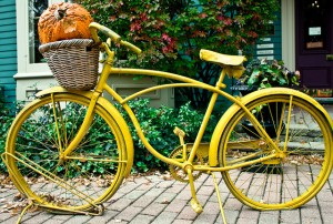 "Yellow Bicycle Carrying a Pumpkin" image by Photoss by BLPerk (Brad Perkins)