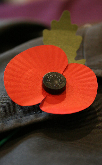 "Poppy for British Remembrance Day 2009" image by paul-simpson.org (Paul Simpson)