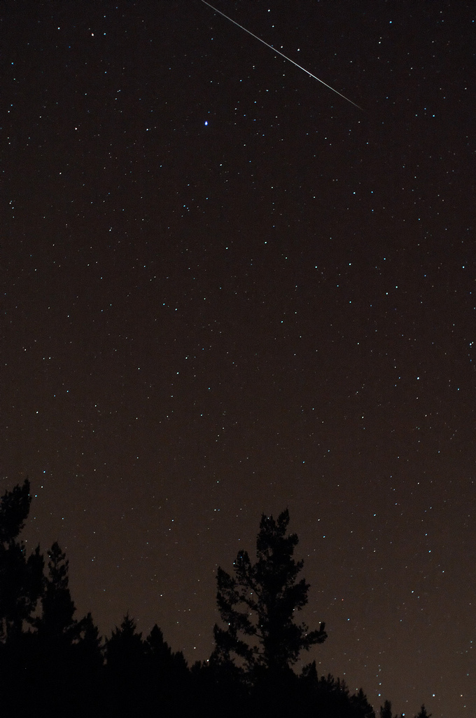 "One Quadrantid Meteor" image by Navicore
