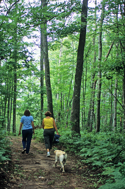 "Hiking in Wisconsin" image by Wisconsin Department of Natural Resources