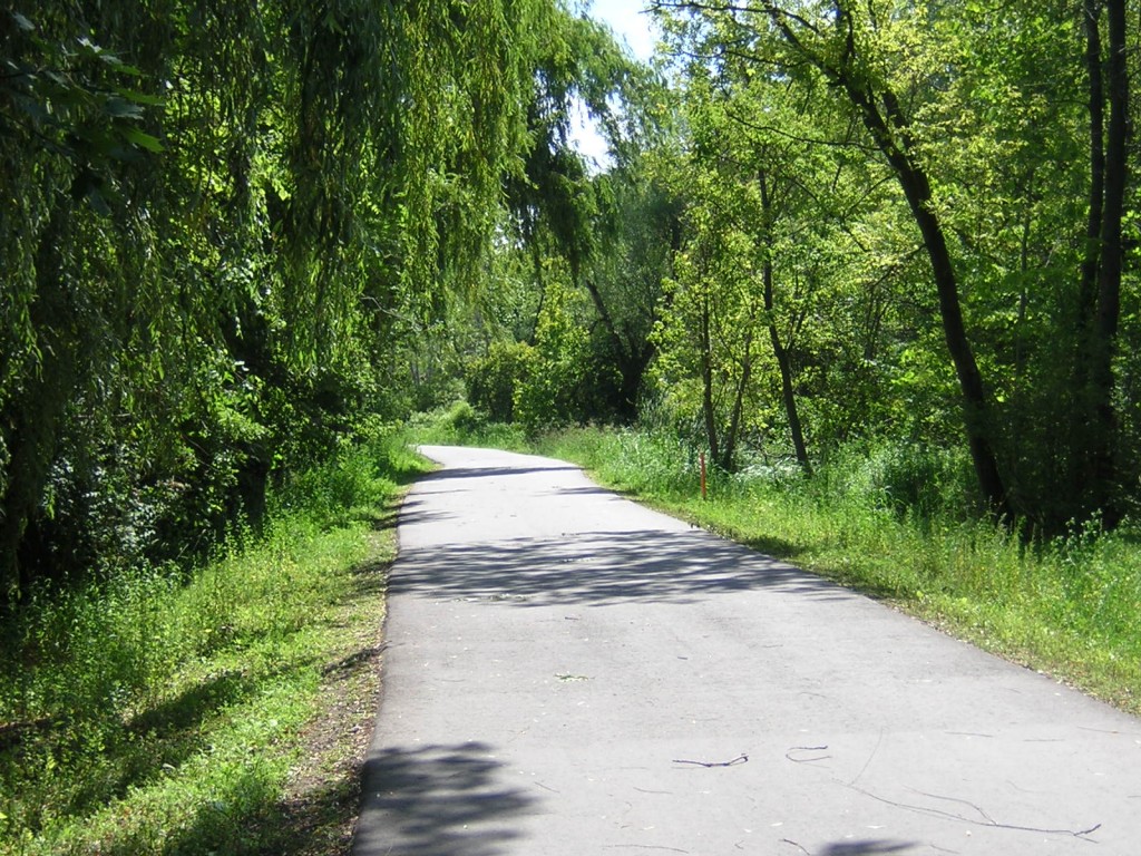 "Trees Border the Taylor Creek Trail in Toronto" image (c) by Mike DeHaan