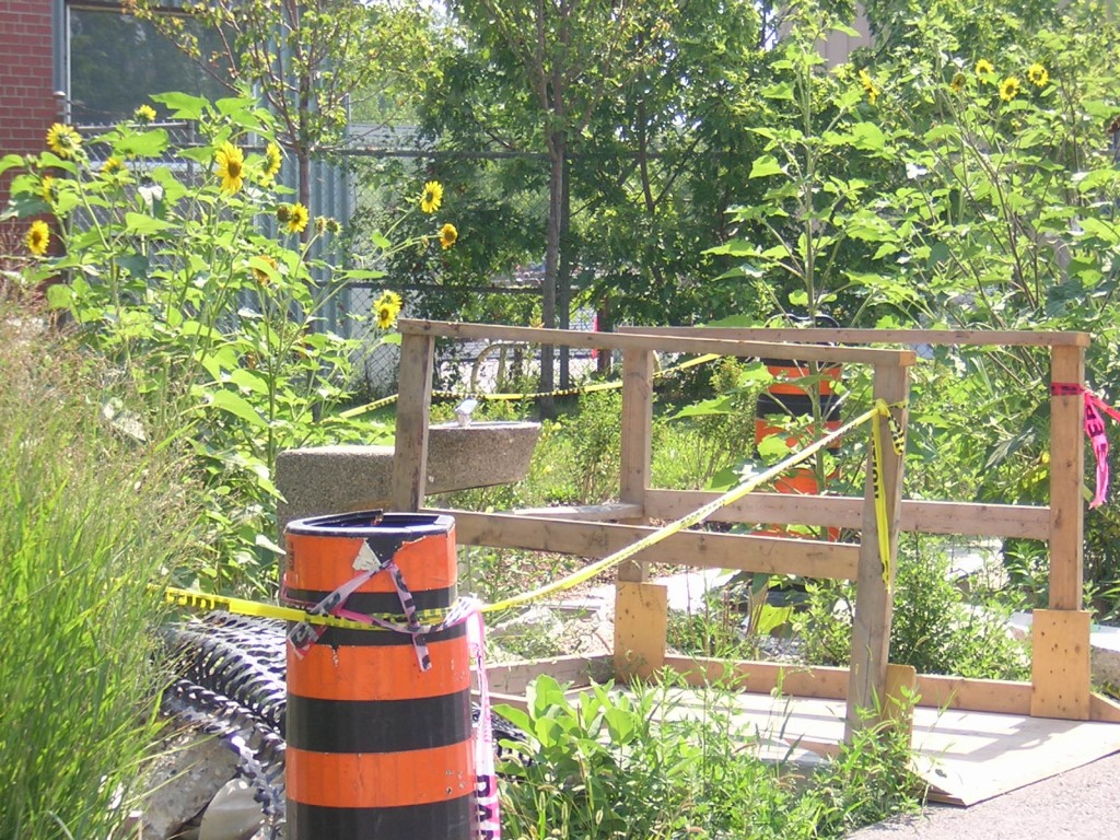 "Drinking Fountain on Martin Goodman Trail on Leslie Street (#1)" image (c) by Mike DeHaan