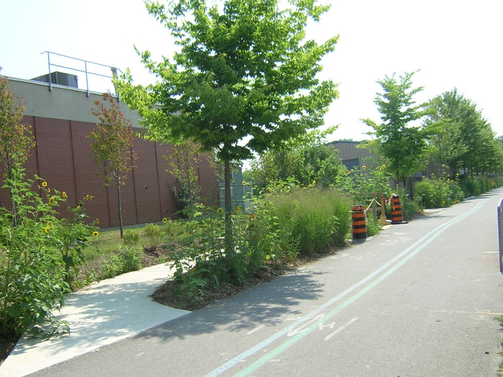 "Drinking Fountain on Martin Goodman Trail on Leslie Street (#2)" image (c) by Mike DeHaan