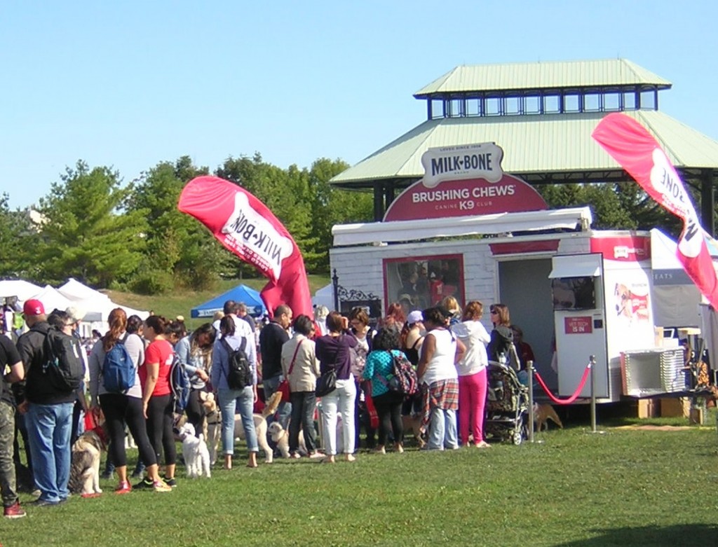 "People and Dogs are Lined up for Milk-Bone Brushing Chews at Woofstock 2015 in Toronto" image (c) by Mike DeHaan