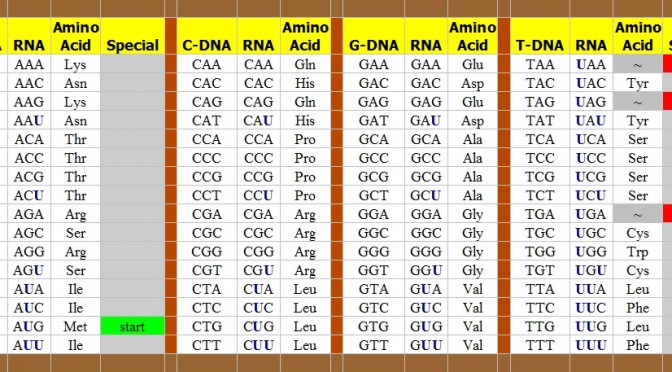 The Genetic Code from DNA to RNA to Amino AcidsThe Genetic Code from DNA to RNA to Amino Acids copyright Mike DeHaan